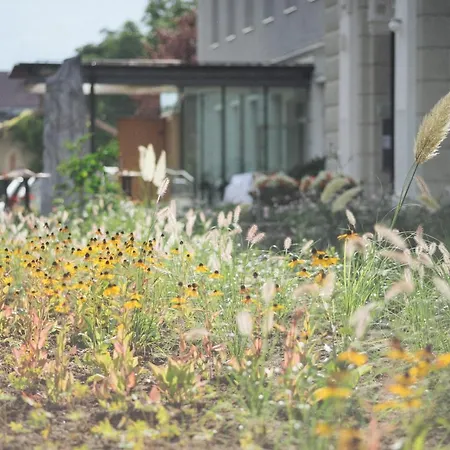 Kreuzschwestern Hall *